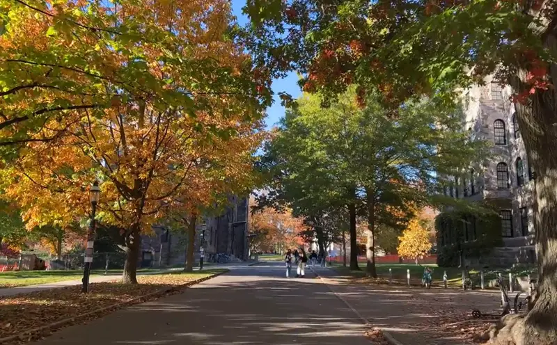 去早稻田大学留学需要哪些条件？