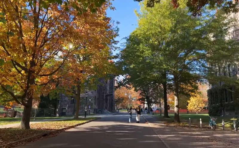 英国埃塞克斯大学留学条件？