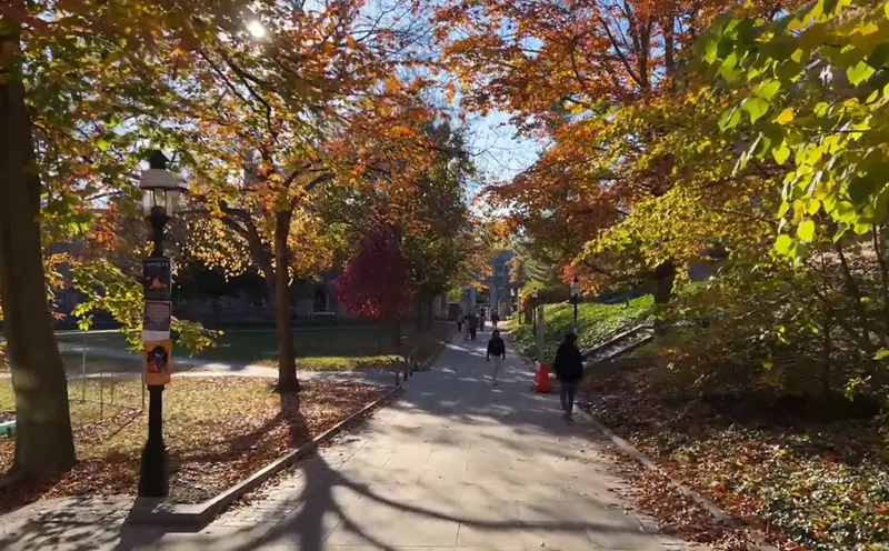 英国布里斯托大学留学费用？